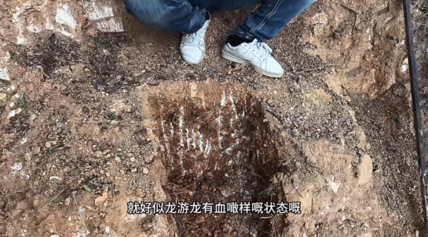 种生基 千年秘术 改运增福的终极之道 高净值人群专属 传承千年道家秘法