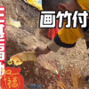 种生基 千年秘术 改运增福的终极之道 高净值人群专属 传承千年道家秘法