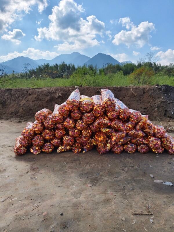 增补财库 有财无库 存不住钱 刚挣到钱就花出去 需要增补财库